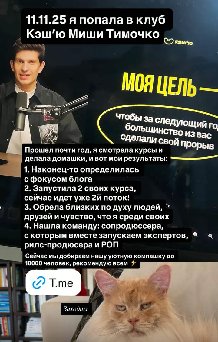 Старая сторис: абзац текста с 4 результатами поверх кадра с Мишей, ссылка и кот
