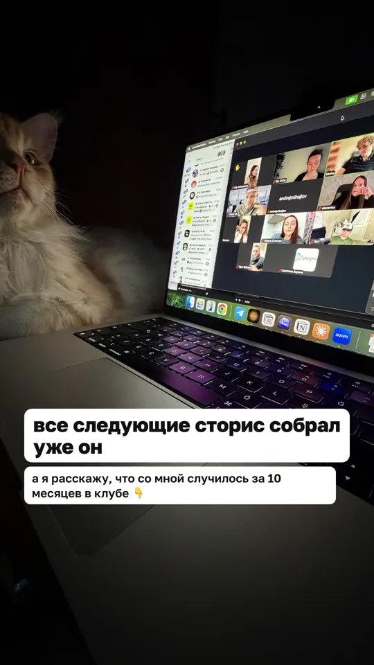 Сторис 3 из 12: все следующие сторис собрал уже он